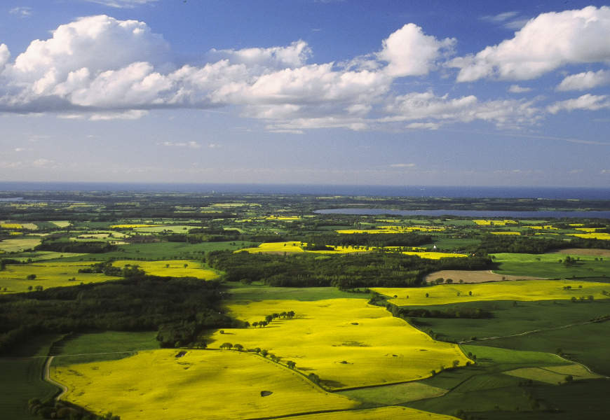 Eine Luftaufnahme einer flachen Landschaft. Große Rapsfelder, Wieseflächen, Wälder und ein See sind zu erkennen.