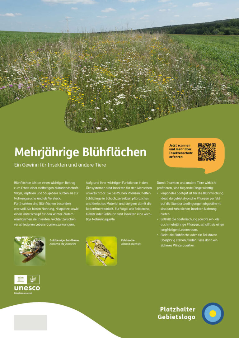 03_Schautafel_Bluehstreifen_Vorlage_ANSICHT4_Zusatzflaeche-unten
