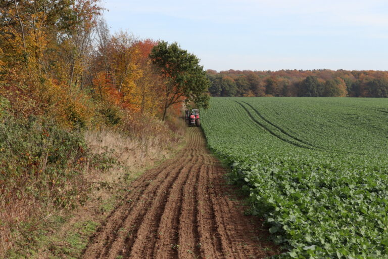 Ein Traktor fährt über einen Streifen Ackerboden zwischen Feld und Gehölzen
