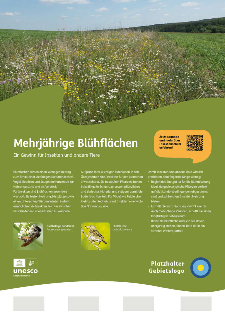 04_Schautafel_Bluehstreifen_Vorlage_ANSICHT9_grosse-Zusatzflaeche