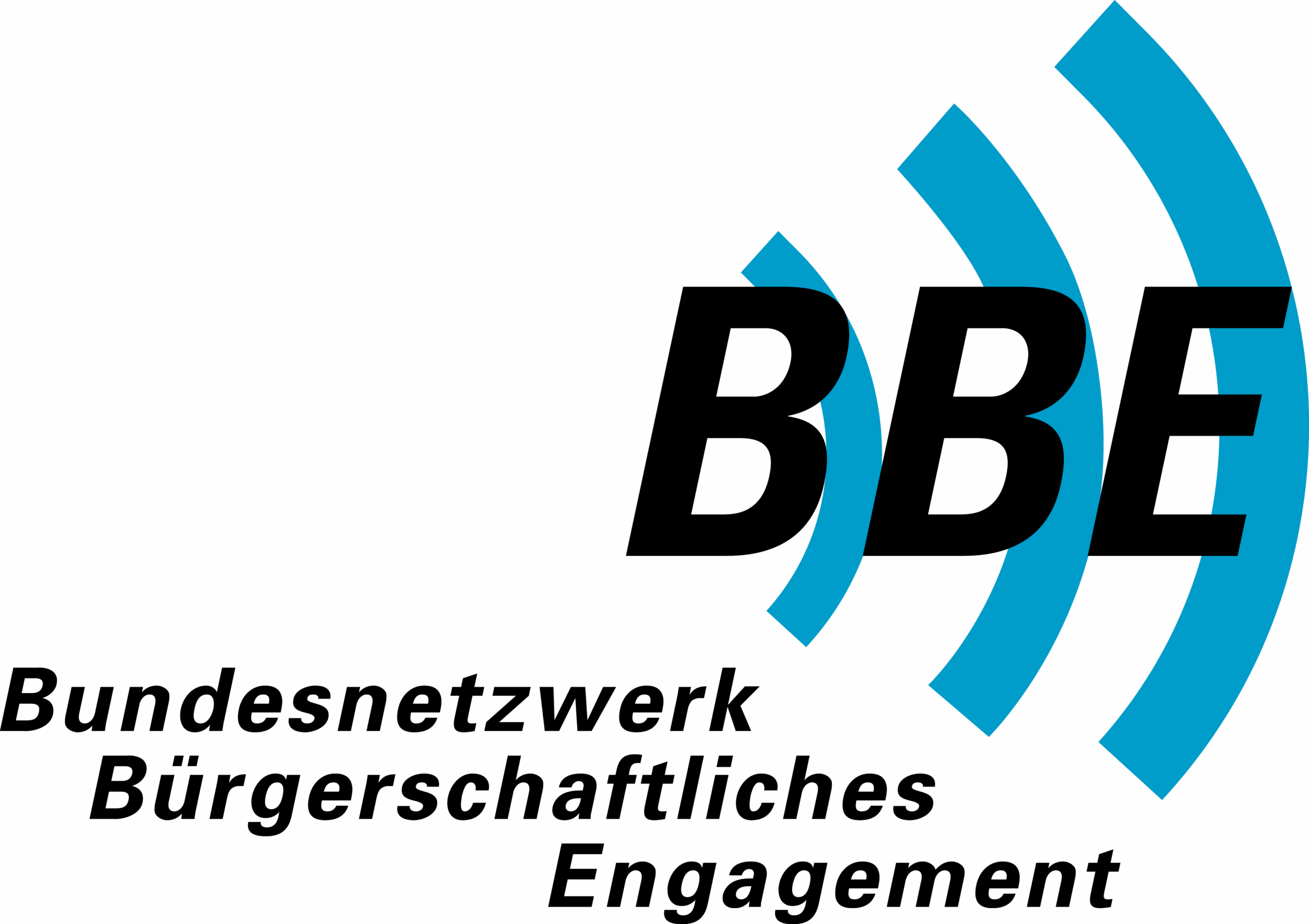 Logo Bundesnetzwerk Bürgerschaftliches Engagement
