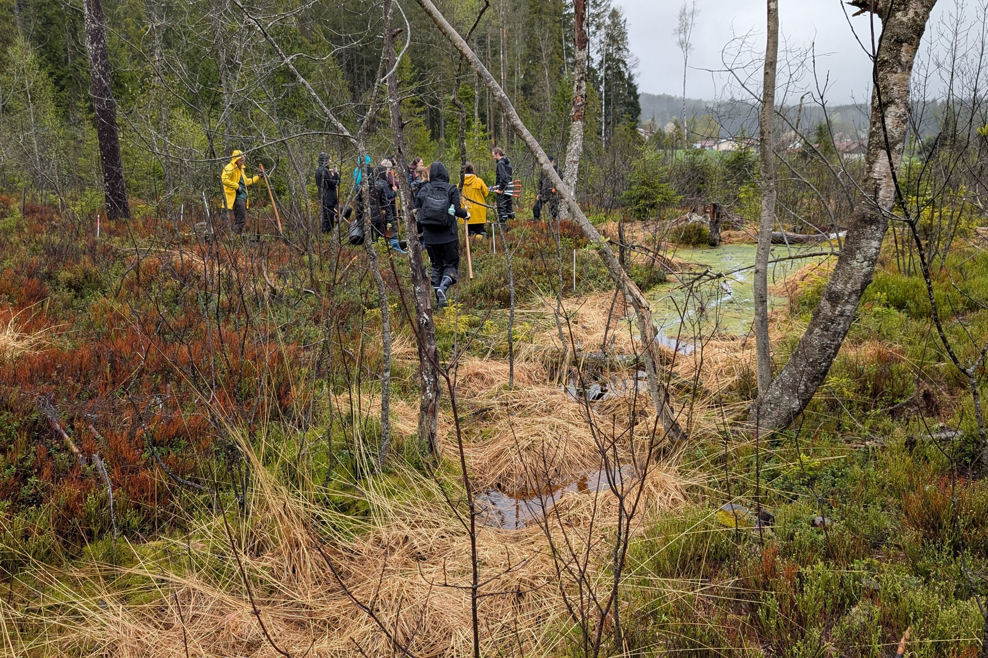Eine Gruppe Menschen steht in einer Moorlandschaft. Besonders auffällig sind zwei Menschen in knallgelben Regenjacken.