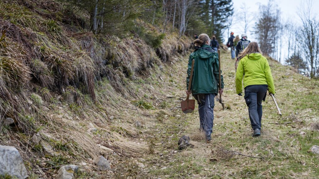 Blick von hinten auf zwei Personen mit Schaufel und anderen Arbeitsgeräten in den Händen auf einem Waldweg laufend, vor ihnen weitere Personen