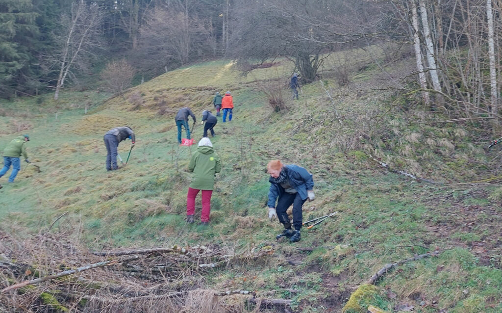 Neun Personen in wetterfester Kleidung und mit Schneidewerkzeugen entfernt Gehölze von einer Wiese am Hang.