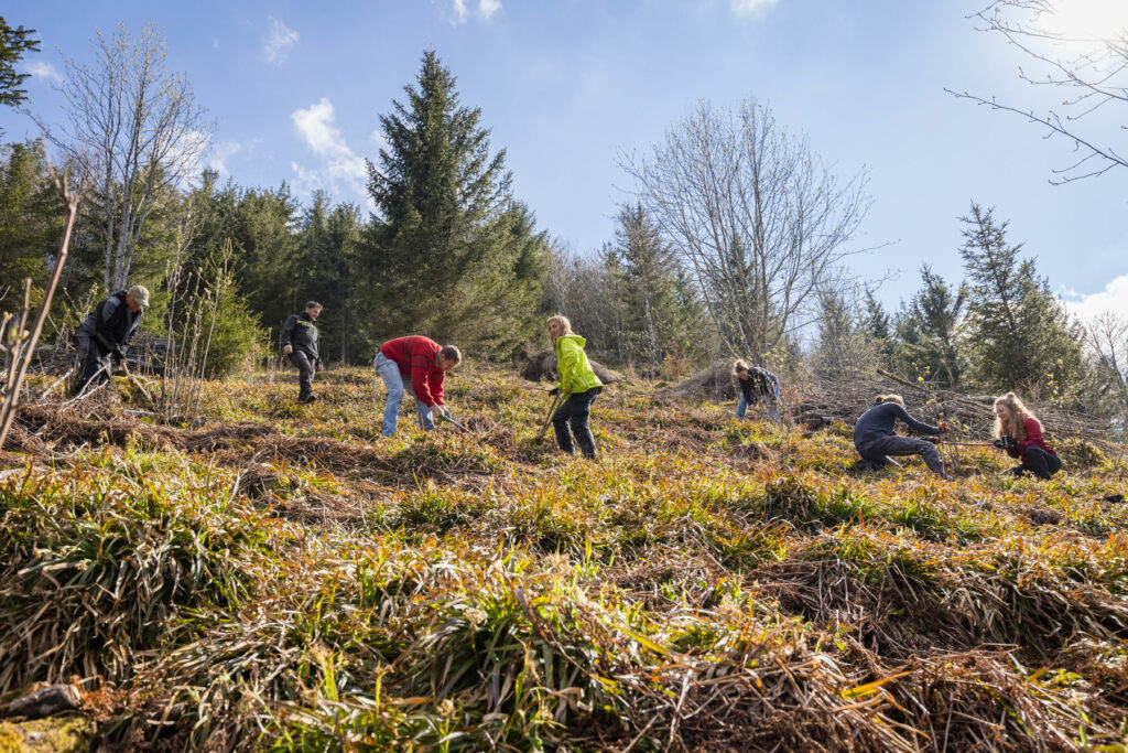 Mehrere Menschen sind auf dem Bild verteilt bei der Arbeit im Freien zu sehen. Es sieht sonnig aus und im Hintergrund sind Nadelbäume erkennbar.