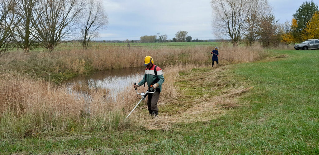 Eine Person geht mit dem Freischneider am Ufer eines Gewässers entlang.
