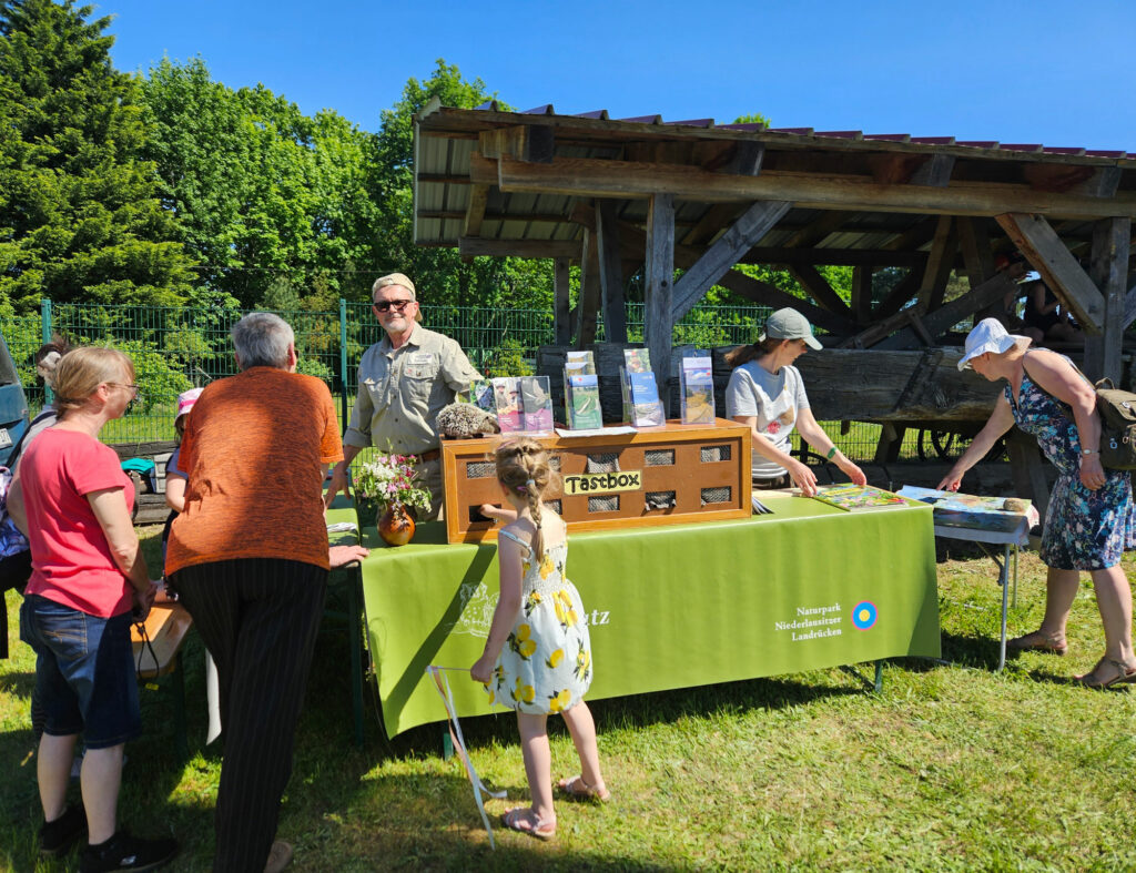 Eine Info- und Erlebnisstand des Naturparks ist von mehreren Menschen besucht und ein Kind greift in eine große "Tastbox" auf dem Tisch.
