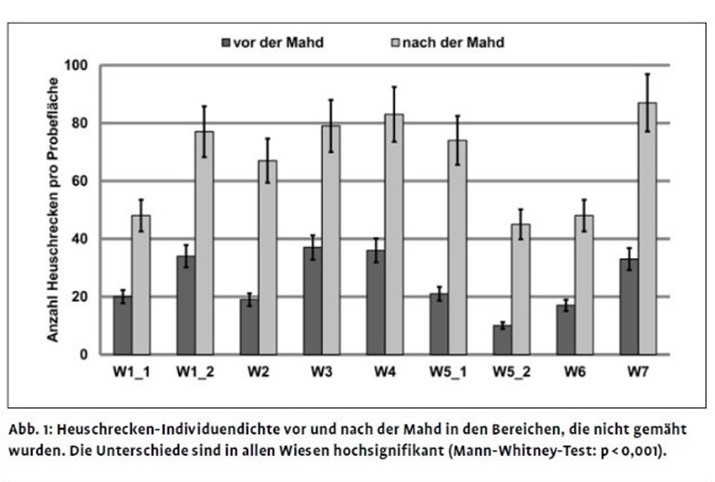 Abb-1-Heuschrecken-Individuendichte-Mahd-Mueller-und-Bosshard