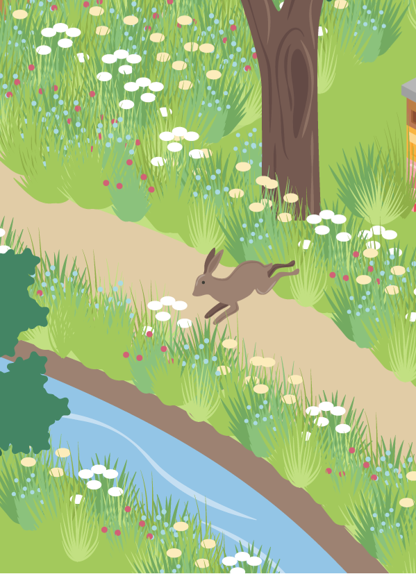 Streifen, auf denen Blumen blühen, wurden um einen Weg und zwischen unterschiedlich genutzten Gebieten angelegt. Ein Hase überquert einen Feldweg.