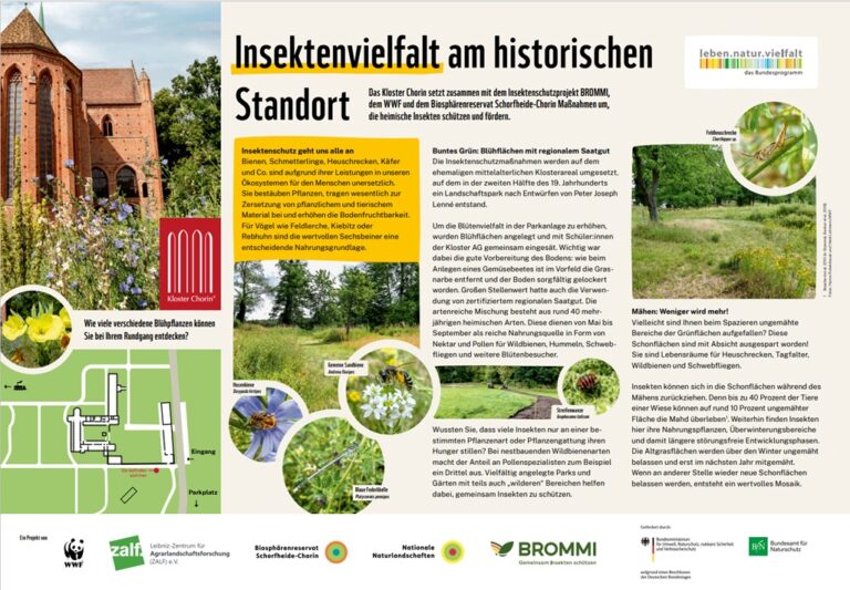 Brommi_Klosterschild_980x680_BM1_Bluehflaechen_Angepasste-Mahd-Ansic