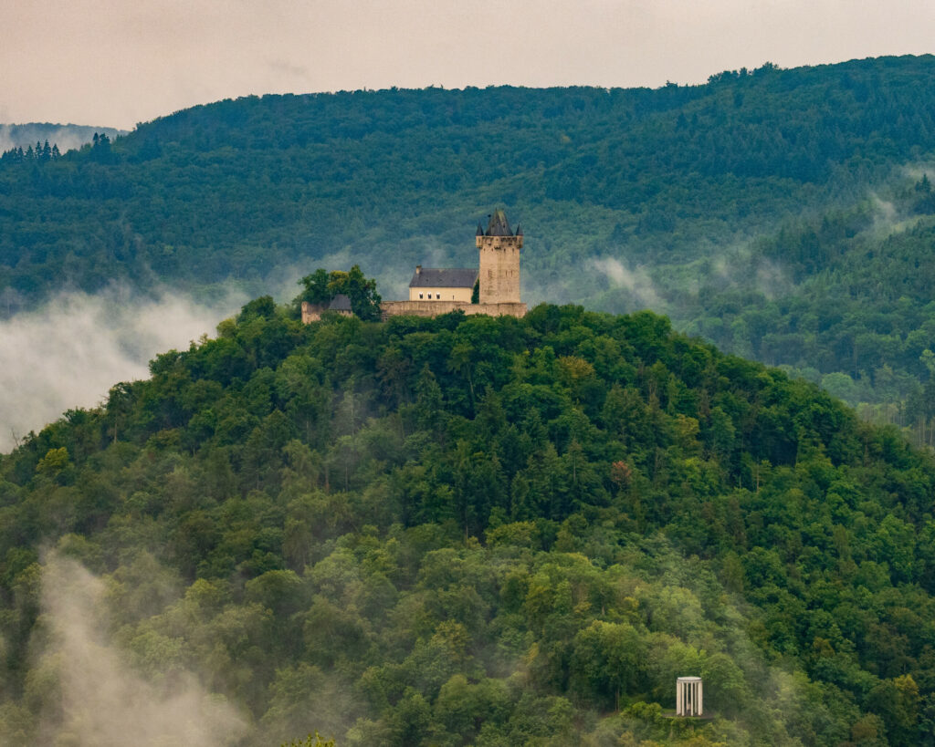Die Burg Nassau liegt auf einem bewaldeten Berg.