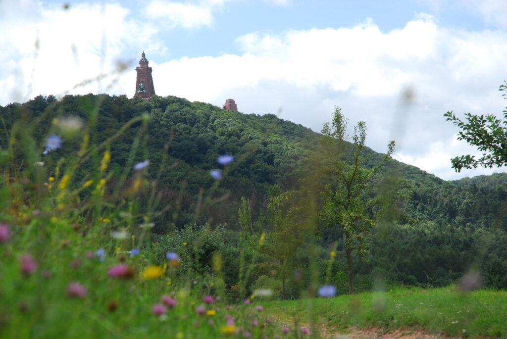 Der Blick wird über eine Blumenwiese, einen Hügel mit Wald hinauf zum Kyffhäuser-Denkmal geleitet.