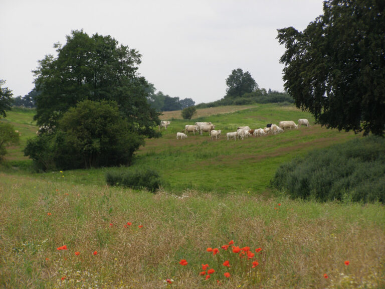 Landwirtschaft-R.Schmahl