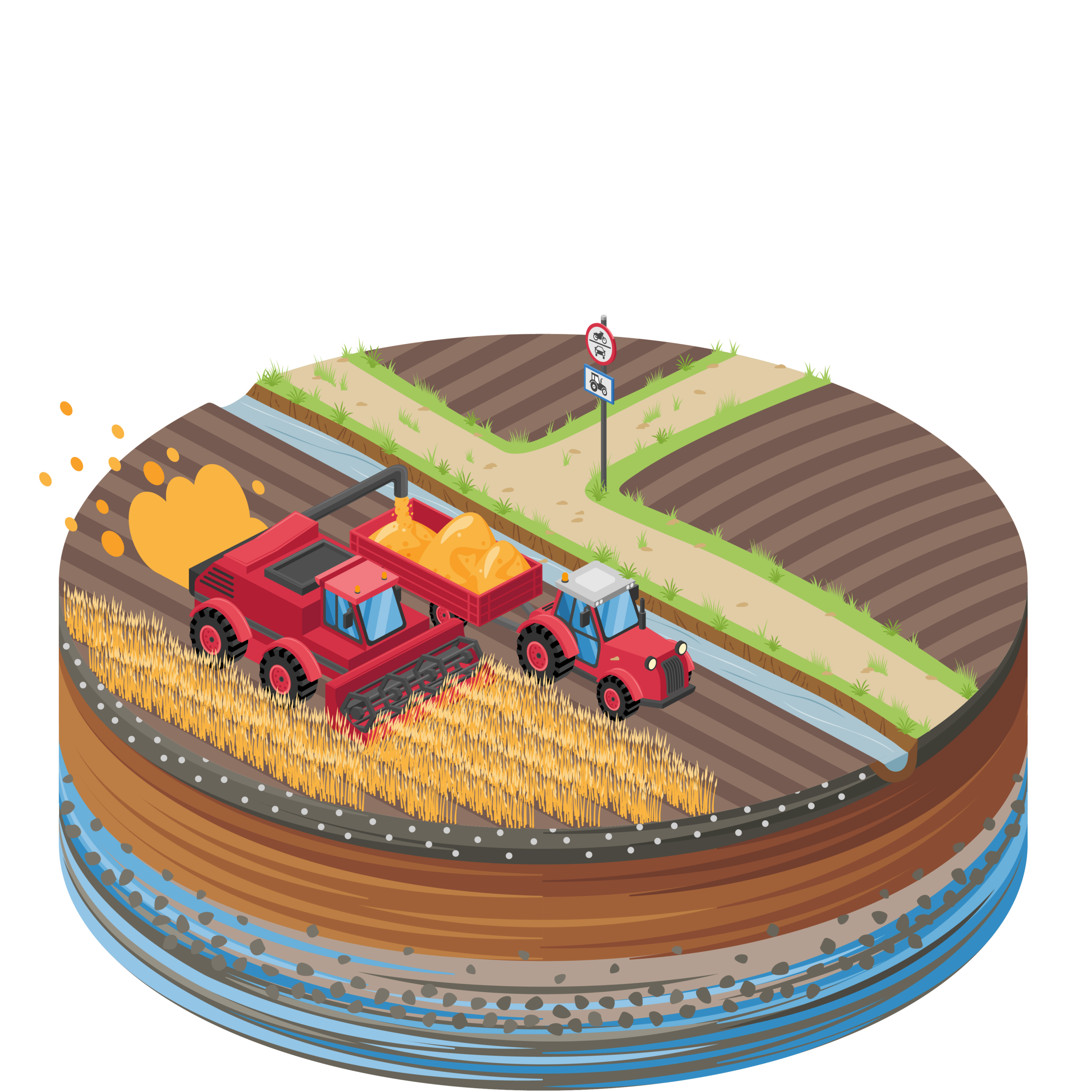 Diese Illustration einer industriellen Landwirtschaft zeigt große Acker, auf denen Weizen angebaut wird. Ein Traktor und ein Mähdrescher ernten die Fläche ab.