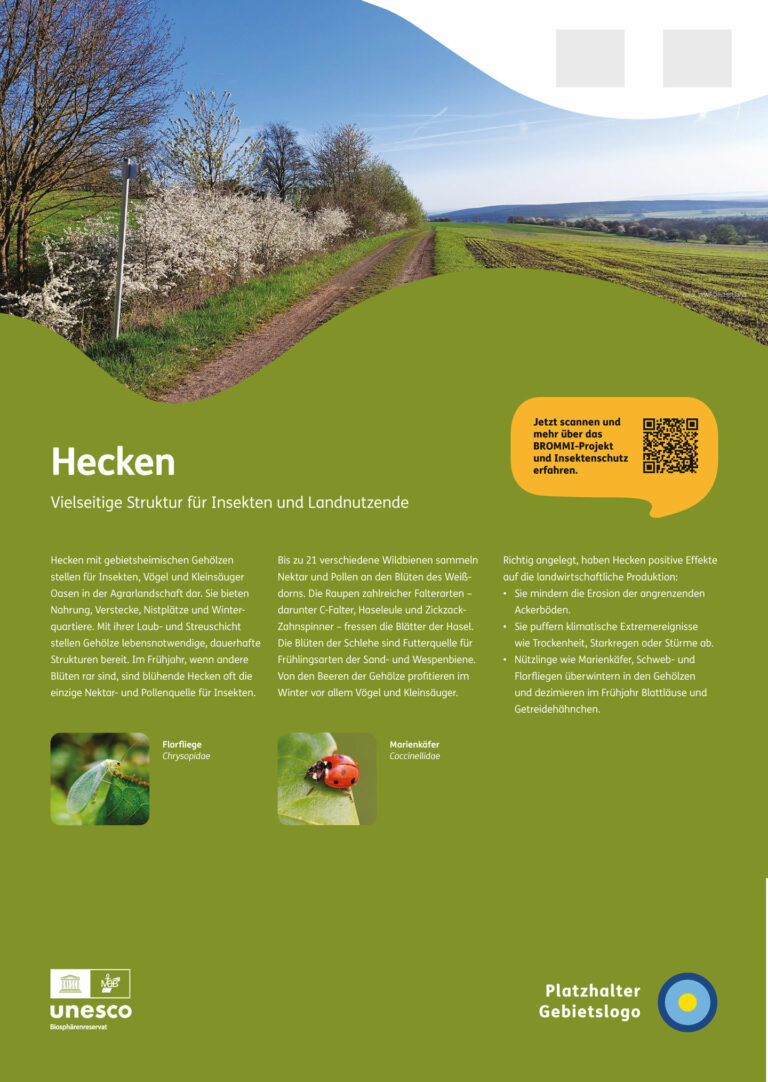 NNL_Schautafel_Hecken_05_Vorlagen-Final_Seite_3