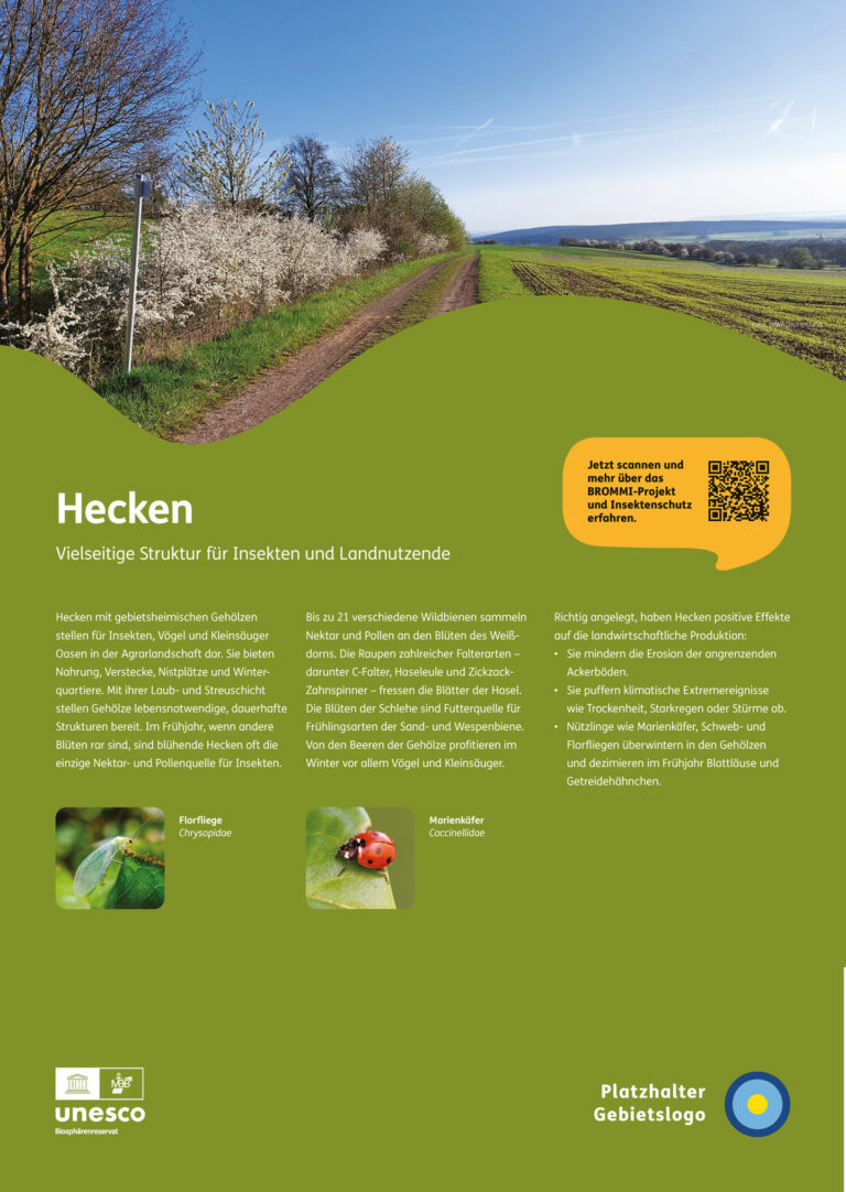 NNL_Schautafel_Hecken_05_Vorlagen-Final_Seite_4