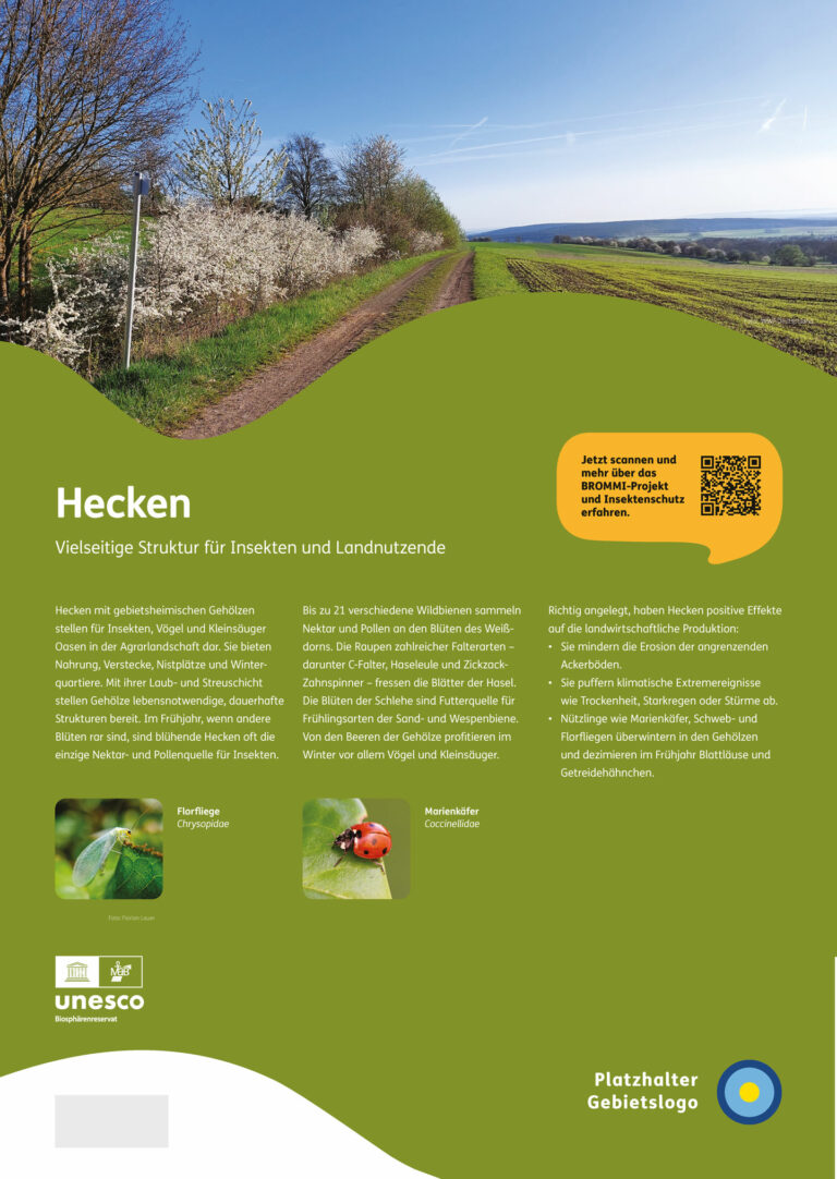 NNL_Schautafel_Hecken_05_Vorlagen-Final_Seite_5