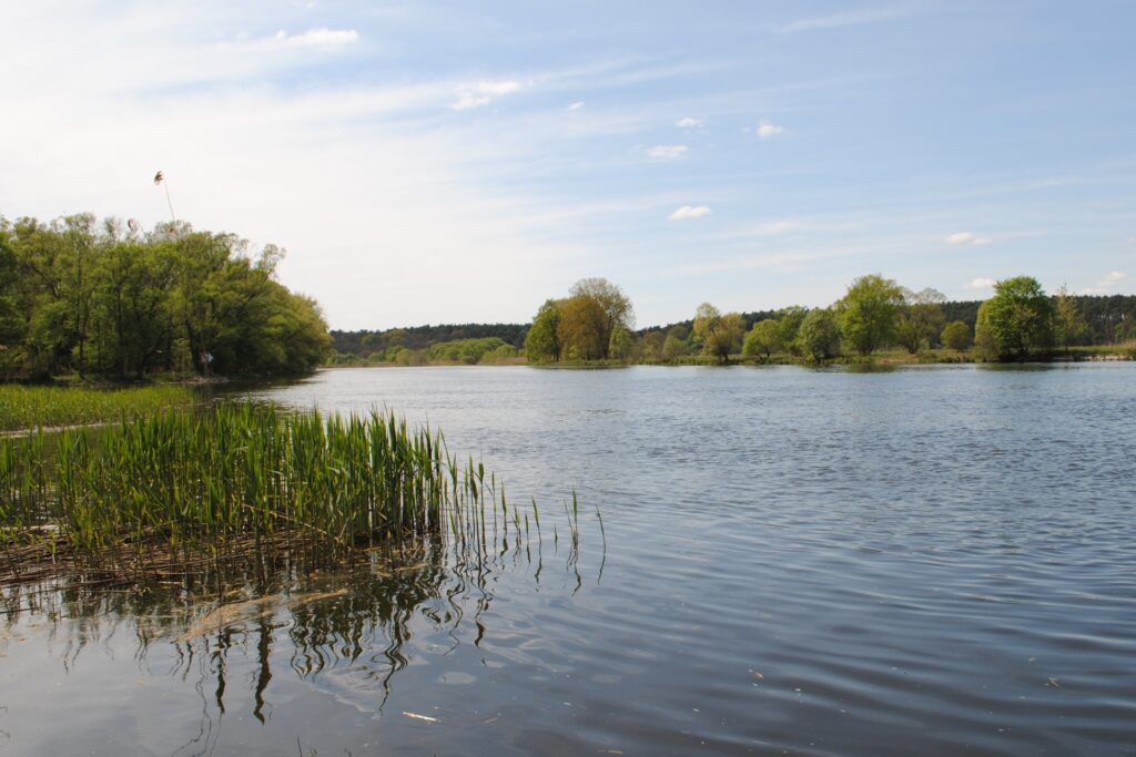 Ein Blick auf die Havel und das umliegende grüne Ufer