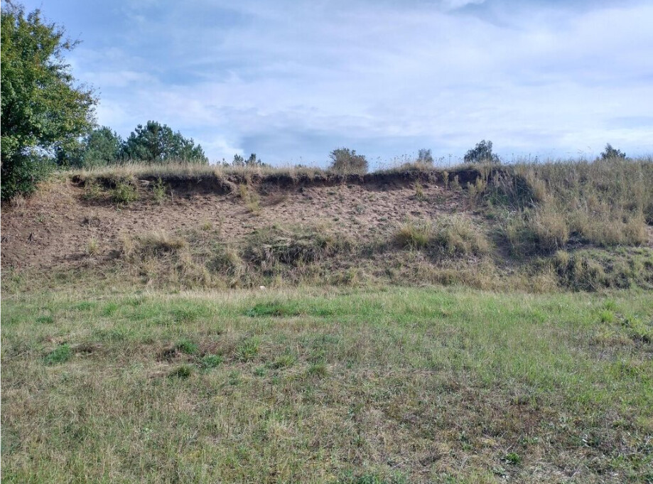 Nistbiotope