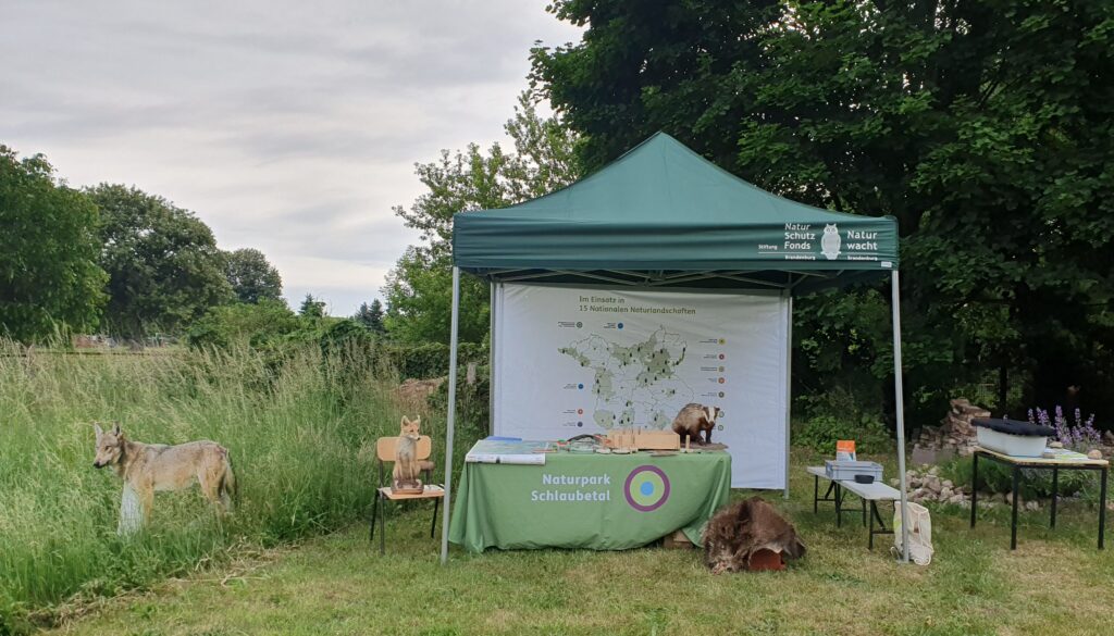 Ein Pavillon mit Infostand steht umgeben von einigen Tiermodellen auf einer Wiese.