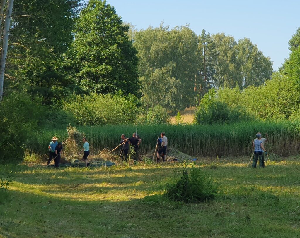 Zehn Personen arbeiten auf einer Wiese mit Rechen und Planen, im Hintergrund Schlif und Bäume