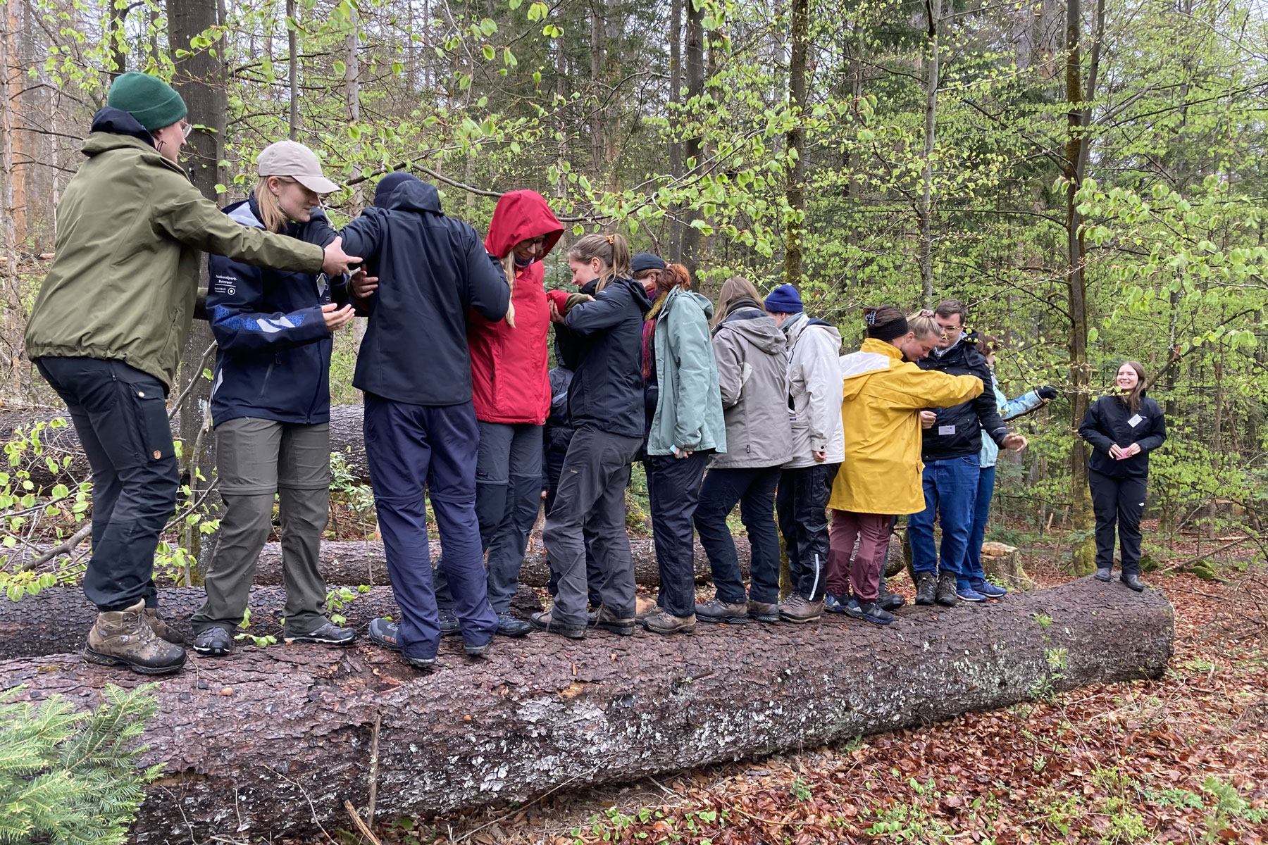 eine Gruppe junger Erwachsener in bunten Jacken steht aufgreiht auf einem Baumstamm und versucht sich aneinander vorbeizuschlängeln, ohne herunterzufallen