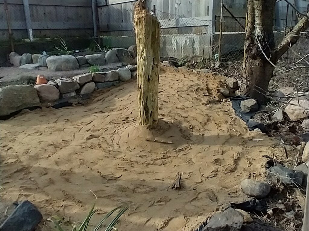 Ein sandiger Bereich umrandet mit Steinen und einem Stück Totholz in der Mitte