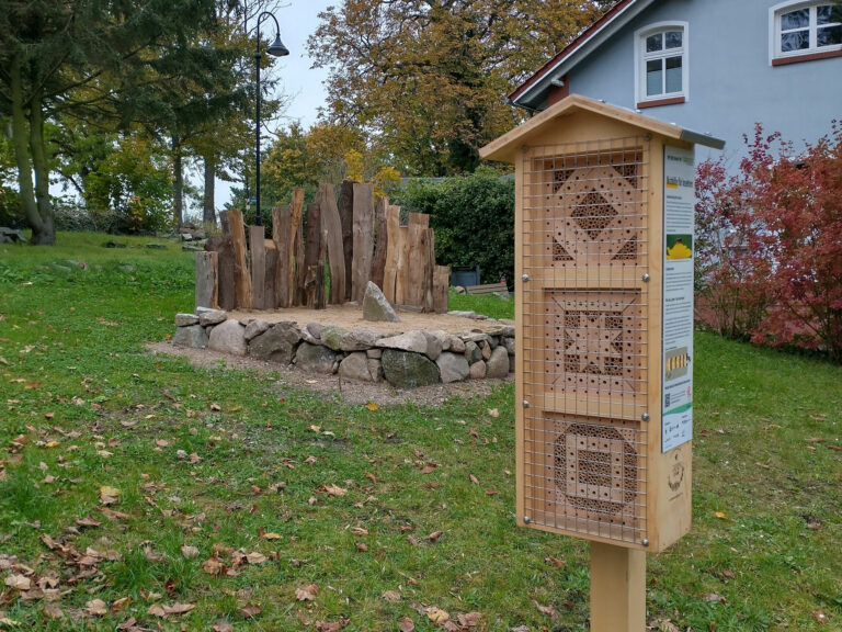 Sandarium-mit-Nisthilfe-im-Vordergrund_Zarrentin-BRSE_quer