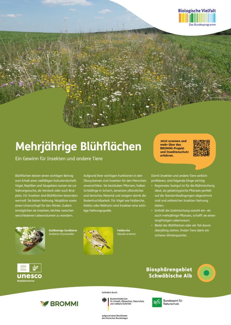 Schautafel_Blühstreifen_0.9