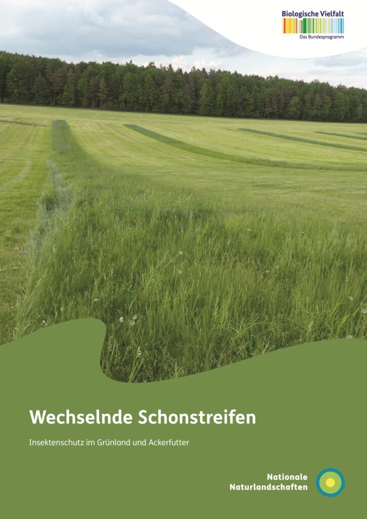 Schonstreifen_Ansicht_Titel_klein