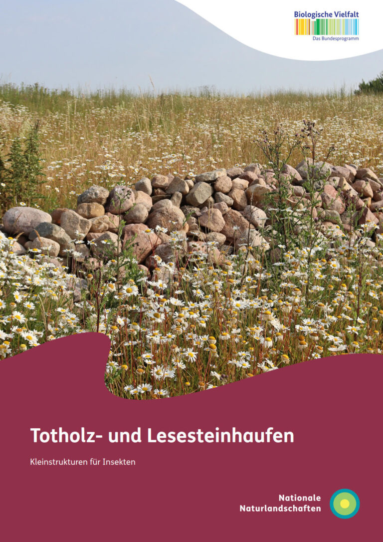 Totholz_Lesesteinhaufen_Ansicht_Titel