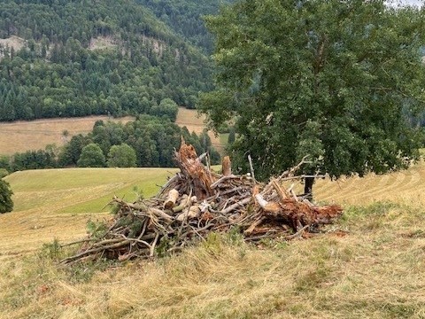 Maßnahmenumsetzung Schlachter