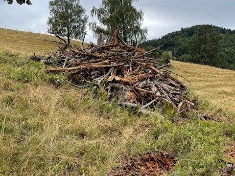 Maßnahmenumsetzung Schlachter