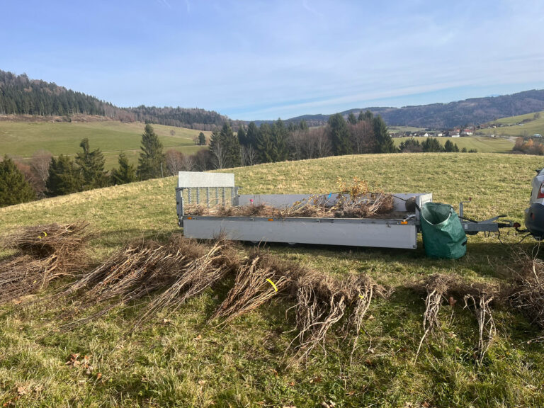VORBER1