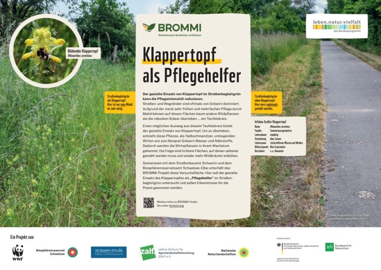 WWF_BROMMI_Klappertopf-als-Pflegehelfer_print-Ansicht