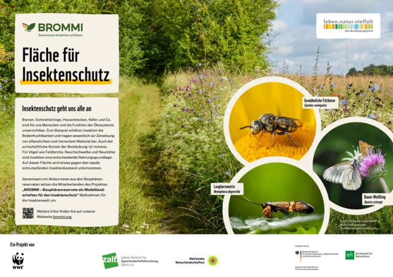 WWF_BROMMI_Massnahmenschild_Bluehstreifen_final_druckfertig-Ansicht