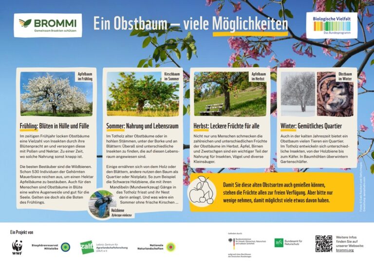 WWF_BROMMI_Obstsorten_DRUCK_fin2-Ansicht