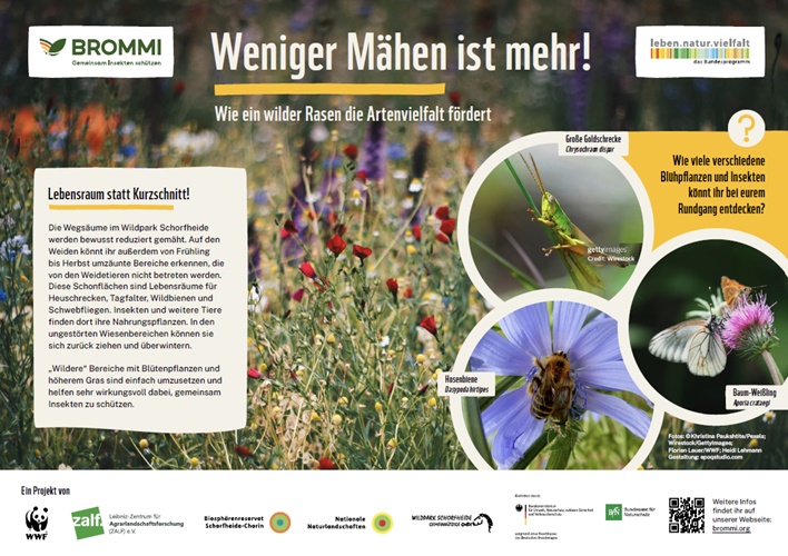 WWF_BROMMI_ReduziertesMaehen_Wegsaeume_v2-Ansicht