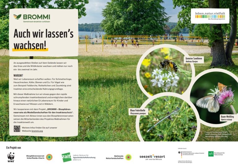 WWF_BROMMI_SeezeitSchild_reduzierte-Mahd_print-Ansicht