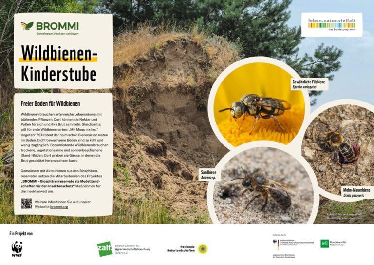 WWF_BROMMI_Wildbienenstube_Erdanriss_final_druckfertig-Ansicht