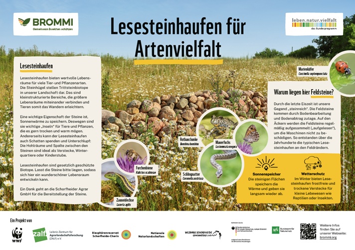 WWF_BROMMI_Wildpark_Lesesteinhaufen_print-Ansicht