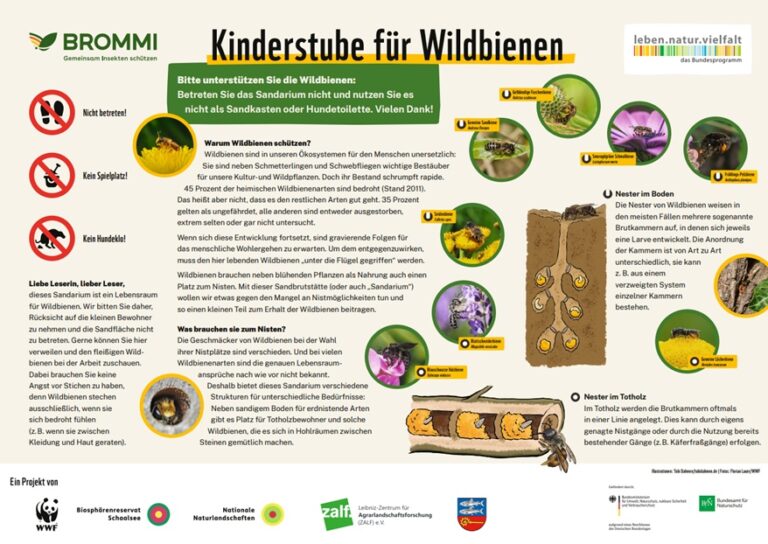 WWF_Brommi_Sandarium_841x594_BM1-Ansicht