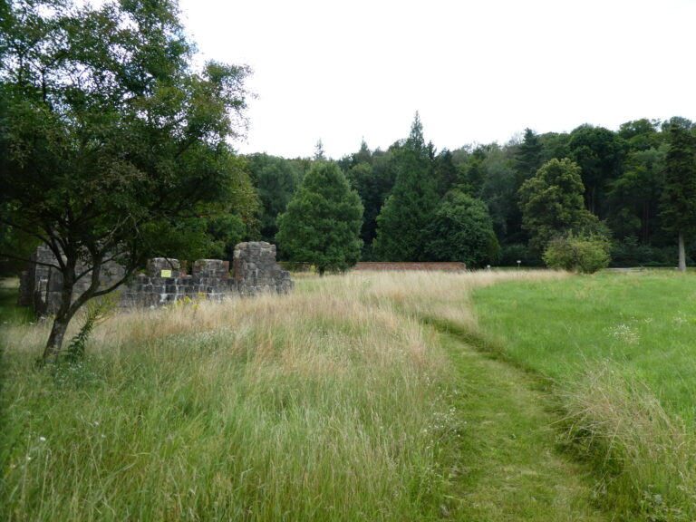 Wege-durch-Wiesen_Kloster-Chorin-Hanna-Rubenbauer-scaled