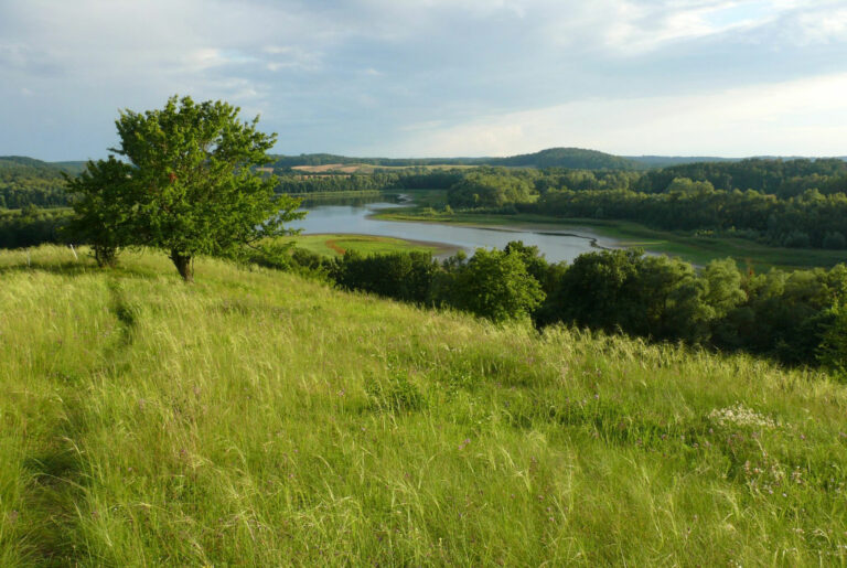 Wesensee2_MFlade_Zuschnitt2-2048×1372-1