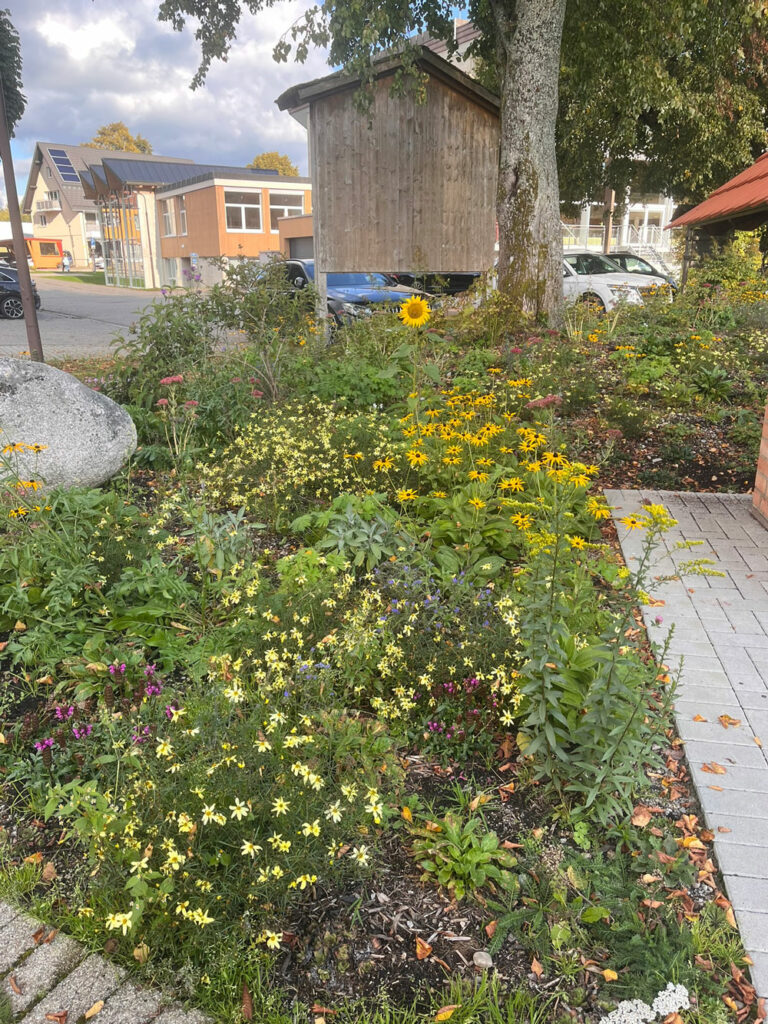 Wildstaudenbeet-4-Monate-nach-Pflanzung_Alina-Schaak_1