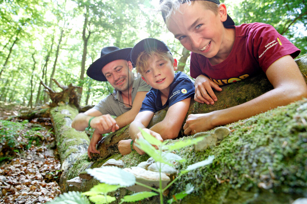 Ein Ranger mit zwei Kindern in T-Shirts der Junior Ranger lehnen über einen Baumstamm mit einem Ranger im Wald und lachen in die Kamera.