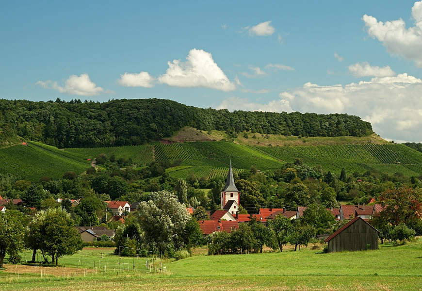 Ein Ausblick auf ein Dorf, dahinter Weinberge