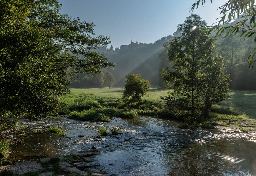 Ein Bach trennt ein Waldgebiet und eine Lichtung voneinander. In der Ferne sieht man die Türme und Dächer einer Burg auf einem Berg.