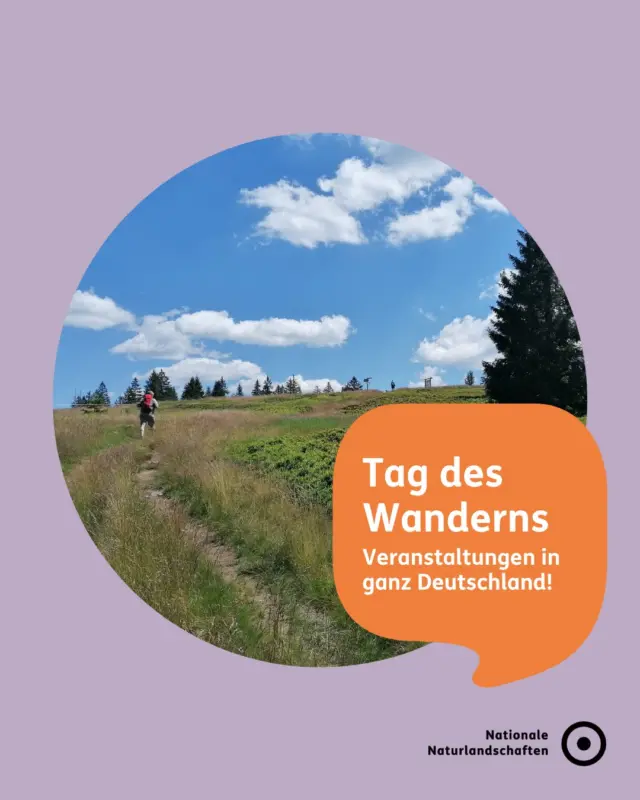 Was war deine schönste Wanderung? 👣

Zum Tag des Wanderns wollen wir euch motivieren, neue Wege zu entdecken!
Unsere Nationalen Naturlandschaften sind nicht nur Schutzgebiete, sondern es warten auch unendlich viele Wanderungen auf euch 🌿

Informationen zu den Angeboten findet ihr in unserer Bio oder bei @deutscherwanderverband 🥾

#nnl #nationalenaturlandschaften #landschaftenvollerleben #naturerleben #tagdeswanderns

📷 Fotos:
Bild 1: © VDN-Fotoportal/Andrea Laumer-Eckl
Bild 2 und 3: © VDN-Fotoportal/Luxfox
Bild 5: © VDN-Fotoportal/Luxfox