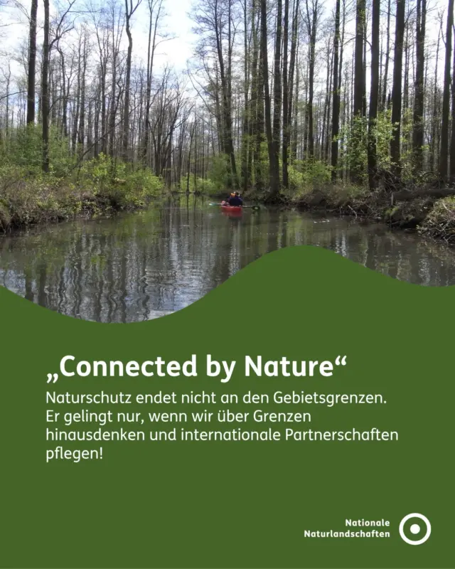Wir sind alle „Connected by Nature“! 🤝🏻

Naturschutz endet nicht an den Gebietsgrenzen. Er gelingt nur, wenn wir über Grenzen hinausdenken und internationale Partnerschaften pflegen 🌎

Ob die Menschen vor Ort, landwirtschaftliche Akteuer*innen in der Region oder unsere Gäste – ihr alle seid Teil des Netzwerks, das unsere Nationalen Naturlandschaften schützt. Heute feiern wir die Menschen, die dem Naturschutz in unserem Alltag eine Stimme und ein Gesicht geben. 🧩

Gemeinsam überwinden wir Grenzen und machen unsere Landschaft stark für die Zukunft! 

Mehr Infos zu unserem NNL-Netzwerk findet ihr auf unserer Website!

Der European Day of Parks findet am 24. Mai unter dem Motto #connectedbynature statt und wurde von der @europarc_federation ins Leben gerufen!

#nationalenaturlandschaften #nnl #EDoP2026 #EuropeanDayofParks

📷 Fotos:
Bild 1: © NNL/Anja May
Bild 2: © VDN-Fotoportal/Christine R. Sigl
Bild 3: © EUROPARC Federation